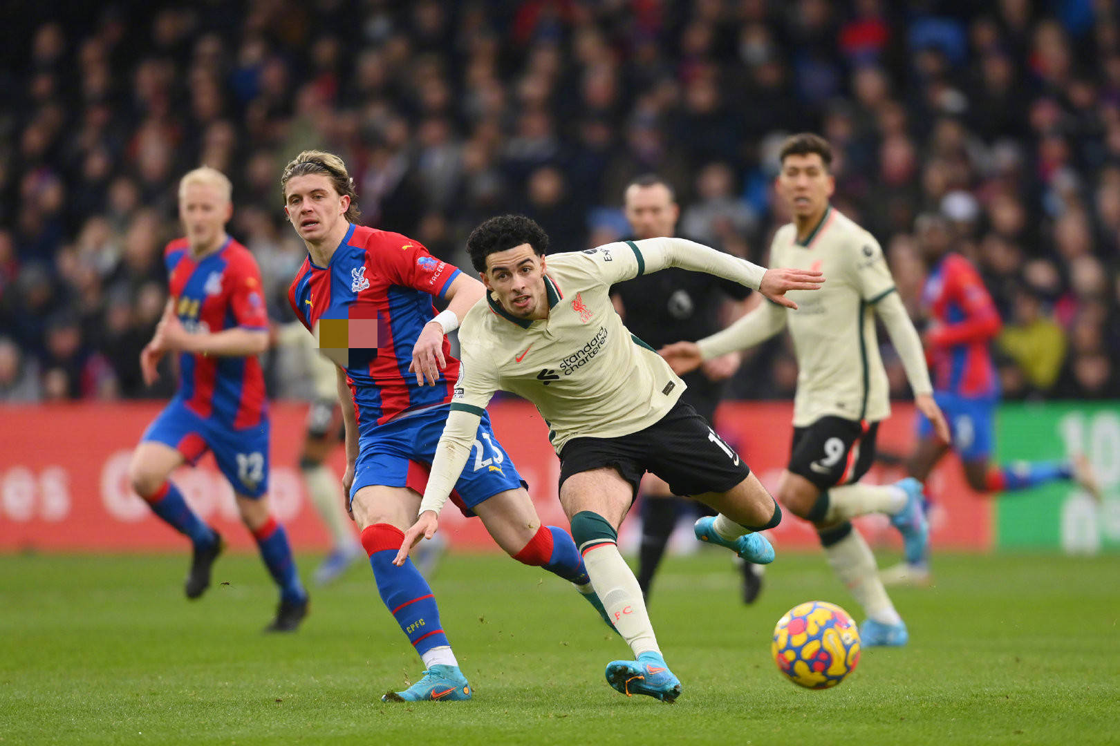 莱昂纳德 莱昂纳德